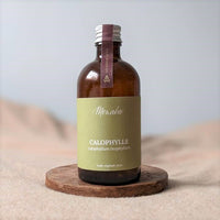 Huile de calophylle vierge