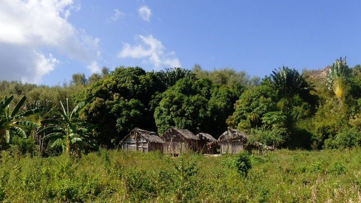 Maison traditionnelle sur notre terrain à Madagascar